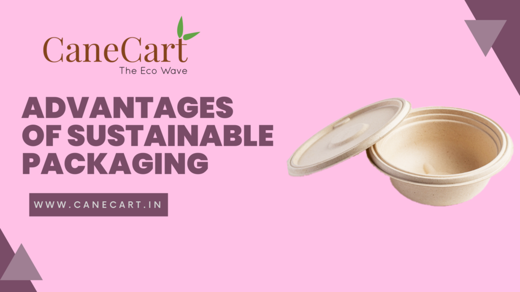 Advantages of Sustainable Packaging