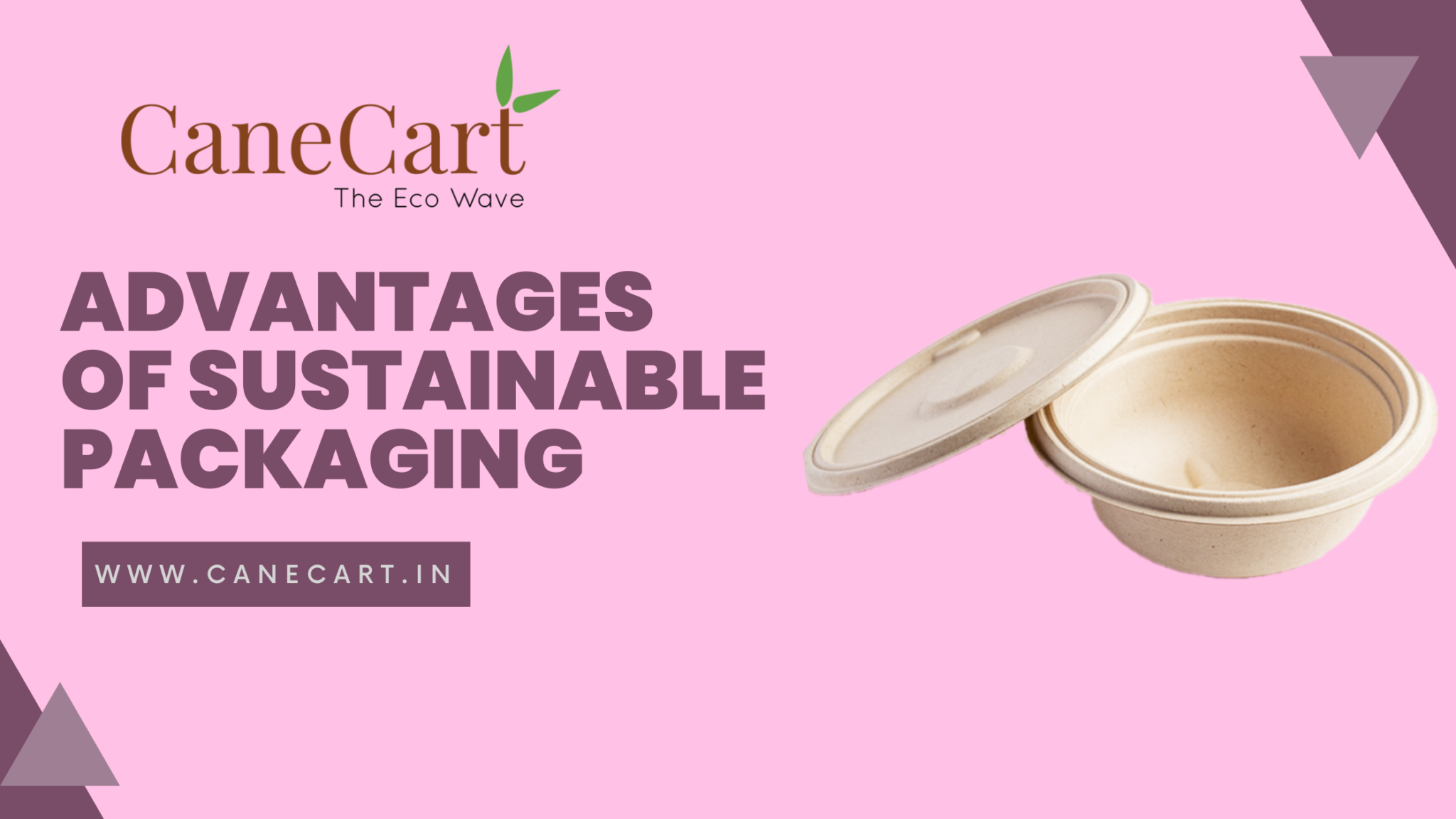 6 Outstanding Advantages Of Sustainable Packaging - CaneCart