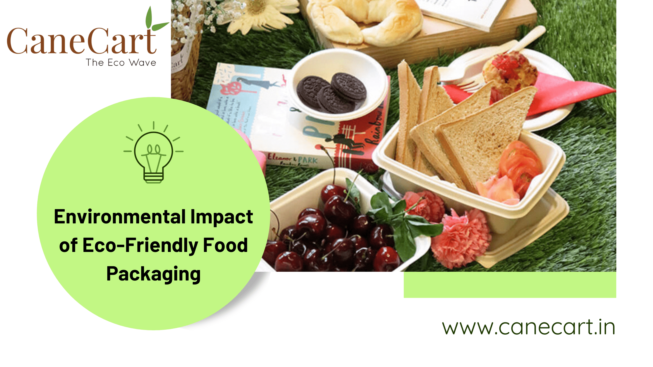 Environmental Impact of Eco-Friendly Food Packaging