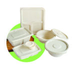 Bagasse Containers and Meal Trays