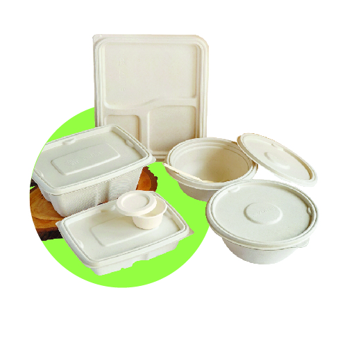 Bagasse Containers and Meal Trays